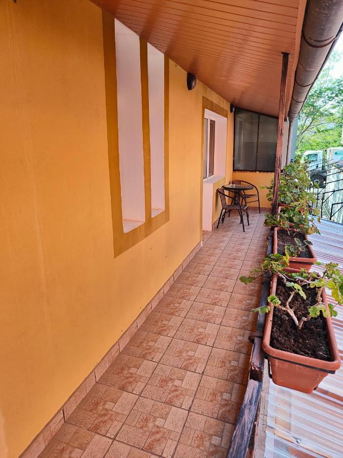Vila Olimpica Hotel Costinesti Buitenkant foto